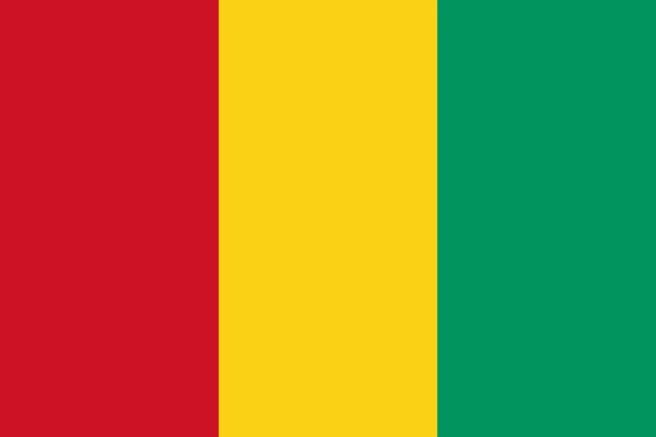 Guinea • 1 GB • 1 Day